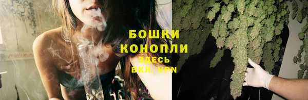 ГАЛЛЮЦИНОГЕННЫЕ ГРИБЫ Иннополис