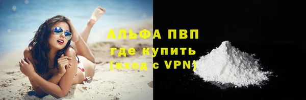 ГАЛЛЮЦИНОГЕННЫЕ ГРИБЫ Иннополис