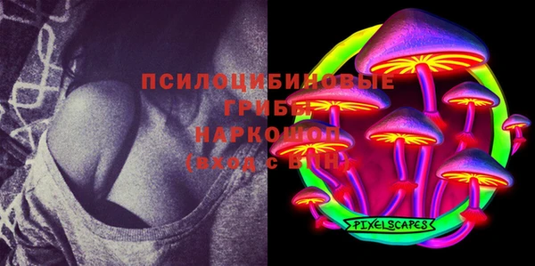 ГАЛЛЮЦИНОГЕННЫЕ ГРИБЫ Иннополис